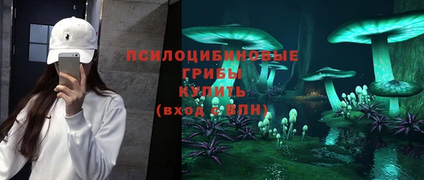 мяу мяу мука Няндома